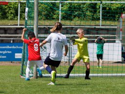 Hillen Cup 2024